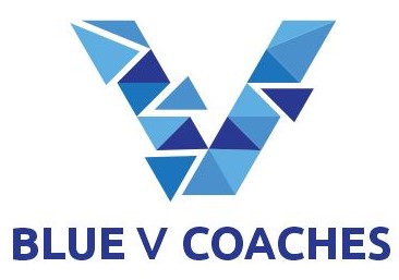 Blue V logo